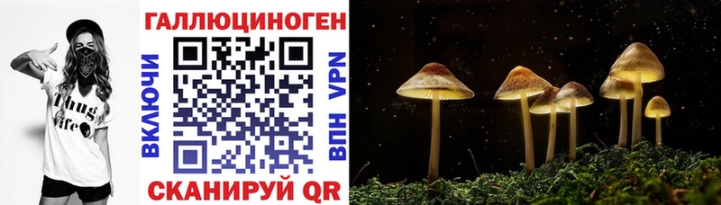 Галлюциногенные грибы прущие грибы  Купить где  Углич 